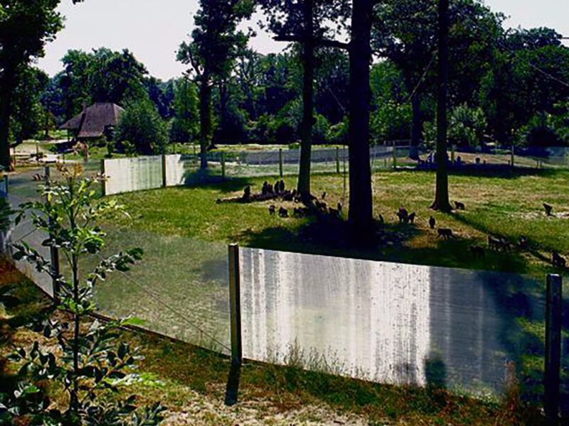 Przezroczyste ogrodzenie ogrodzenia wykonane z siatki drucianej ze stali nierdzewnej w zoo.
